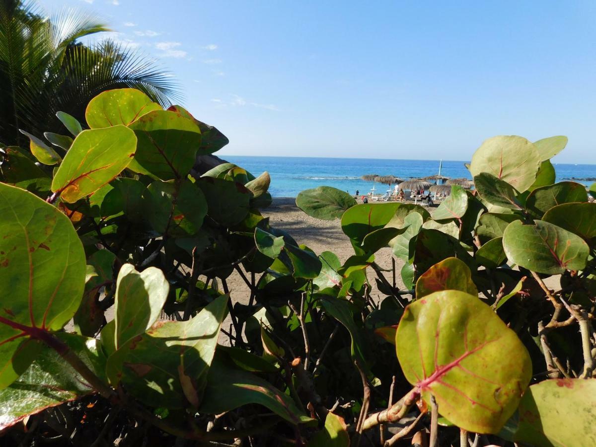 Apartmán Brisas Del Mar Costa Adeje  Exteriér fotografie