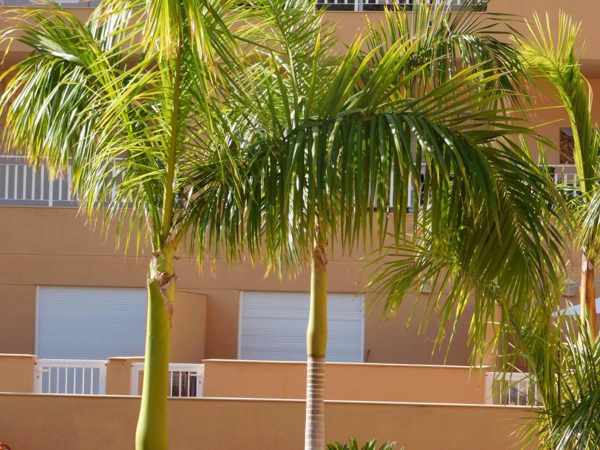 Apartmán Brisas Del Mar Costa Adeje  Exteriér fotografie